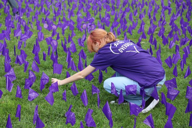 Volunteer planting flags