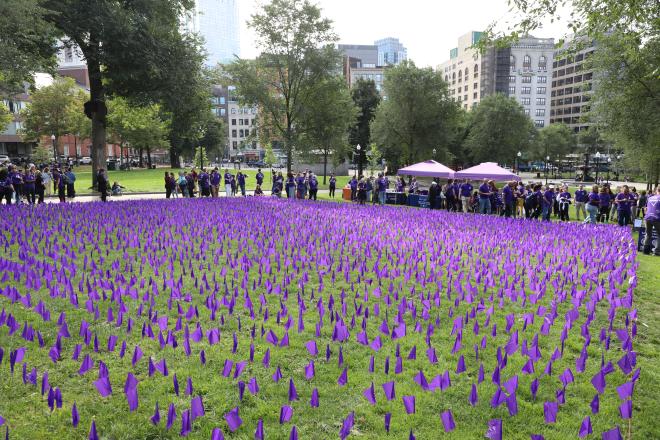 Purple flags on the Common